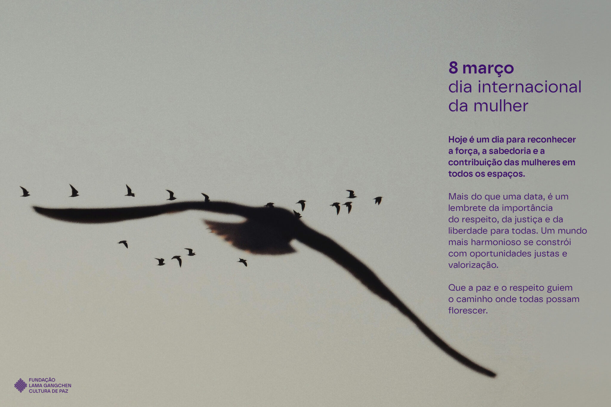 SITE_FLGCP_HOME_CARROSSEL_09_08 de março