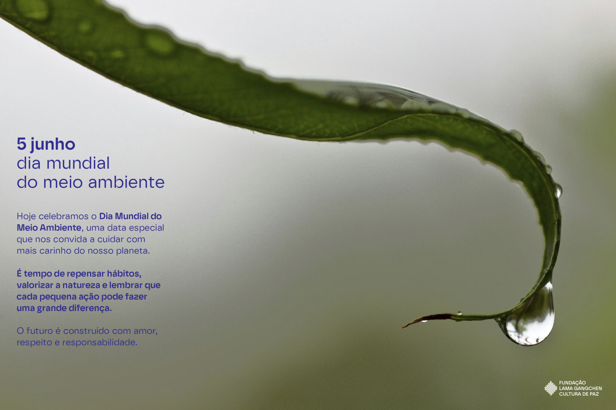 SITE_FLGCP_HOME_CARROSSEL_17